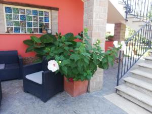 Casa vacanze Tenuta Camilli