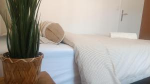 Hotels Chti Moutchico : photos des chambres