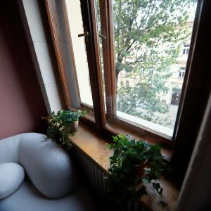 Rose & Thyme Artisan Studio in Old Town