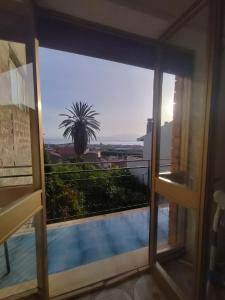 Palma e Boungaville
