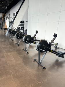 Luxury Apartment on Reforma