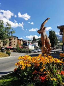 Appartements studio tres agreable, toutes saisons avec parking : photos des chambres