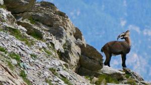 Appartements studio tres agreable, toutes saisons avec parking : photos des chambres