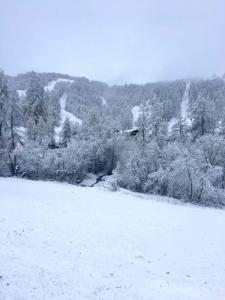 Appartements studio tres agreable, toutes saisons avec parking : photos des chambres