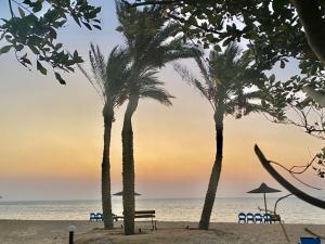 Studio with pool view at Bella Vista resort sokhna