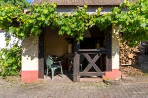 Appartements Chalet du Rhin, le coin de Mut en Alsace proche Europa Park : photos des chambres