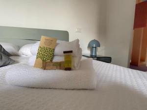 Monolocale con Divano-Letto