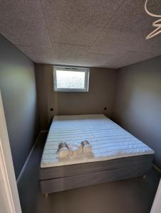 Lofoten Apartment 01