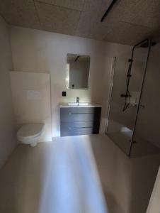 Lofoten Apartment 01