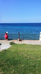 Alexiadis Apartments Halkidiki Greece