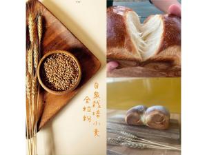 Farm Stay Yululu - Vacation STAY 30762v