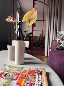 Entu Apartamenty Odrzanska