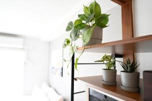 Shippo Mansion, Room 404 - Vacation STAY 41552v