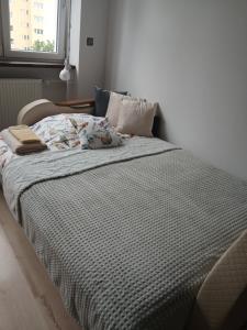 Mieszkanie przy Olivii