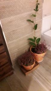 An apartment with an ocean view