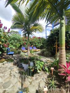 Finca San Miguel Filandia