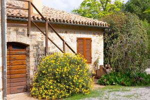 Il Paglieto - Natura, Stelle, Relax e Piscina