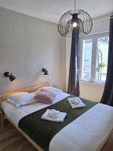 Appartements Grand T2 lumineux 2 pers Olivet Avenue Loiret : photos des chambres