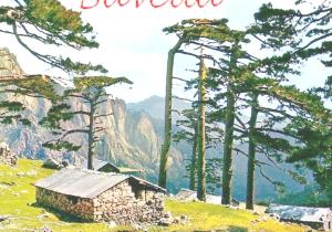 Très joli gîte 55m2 climatisé région Propriano