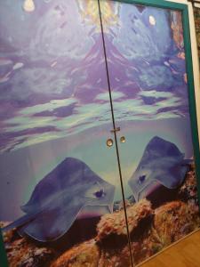 Sejours chez l'habitant DZ am EUROAIRPORT : photos des chambres