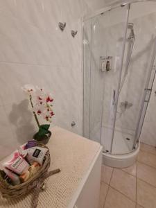 Family-friendly apartments with swimming pool Opatija - Pobri, Opatija - 24607