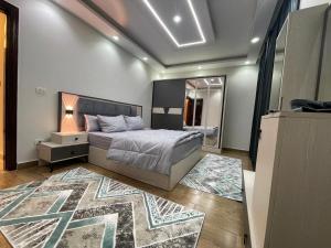 القاهره الشيخ زايد