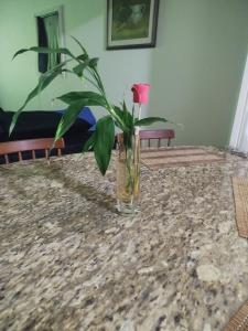 Casa familiar com Piscina Praia Grande