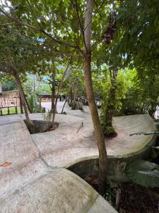 ShakaBrah Beachfront Hostel