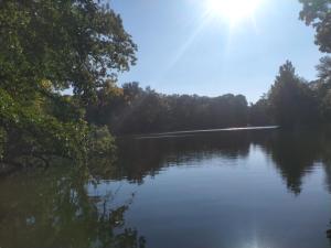 One room for rent in Oldenburg