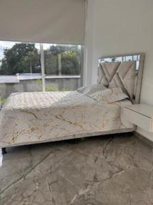 Encenillos del Manantial