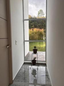 Encenillos del Manantial