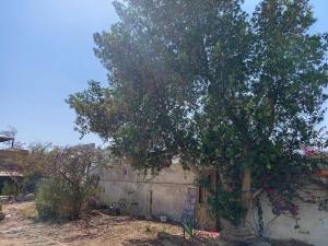 Cozy studio with a big garden