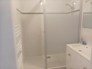 Le Croisic : Appartement Vue Mer, Animaux, Parking, 4 Couchages - FR-1-843-18