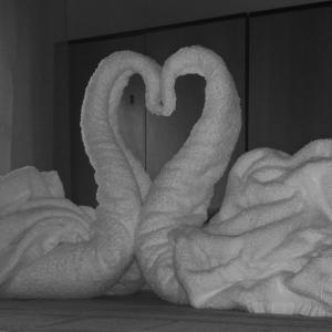 Appartamenti Abbaidda 2 img12