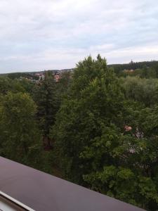 Kawalerka 30 metrów