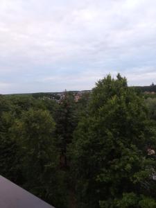 Kawalerka 30 metrów