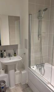 Paddington Flat with large terrace