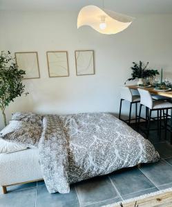 Appartements Le MAMCosy - Porte de Geneve - Annemasse Pied Gare - Hyper Centre - New Eco-quartier : photos des chambres