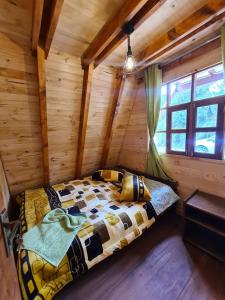 Cabana Alpina