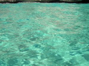 Casa vacanze Villa Rosa img55