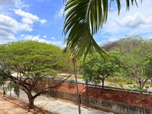 Amoara 301 Bohemian Rooftop