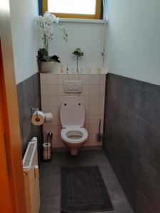 ArMands Apartment in Leoben