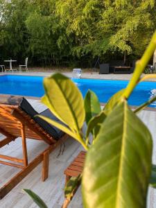 Ilkićev kućerak Apartman