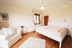 Steiner Apartment