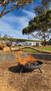 Barossa Pavilions & Glasshouse