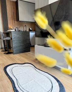 Smart Apart 62, City Center Kielce, main Square, FV, Targi, Sienkiewicza, Centrum