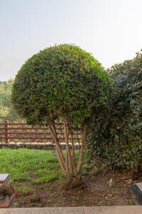 New Vista Blu Alghero img22