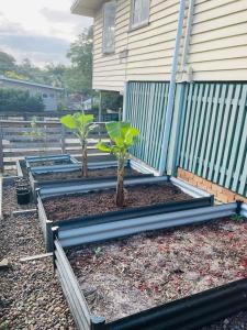 Cozy 4BR Cottage Close to Schools & Shops&Lookout