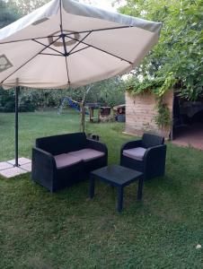 Superior One-Bedroom Apartment with Balcony