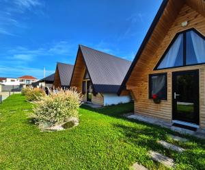 Căsuțele Denis&Lucas